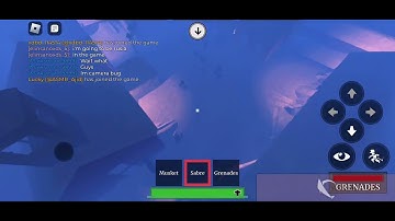 Dev pls fix this bug