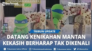 Video Viral Pria Datang Ke Nikahan Mantan Kekasih Pakai Kostum Kura Kura Ninja Agar Tak Dikenali