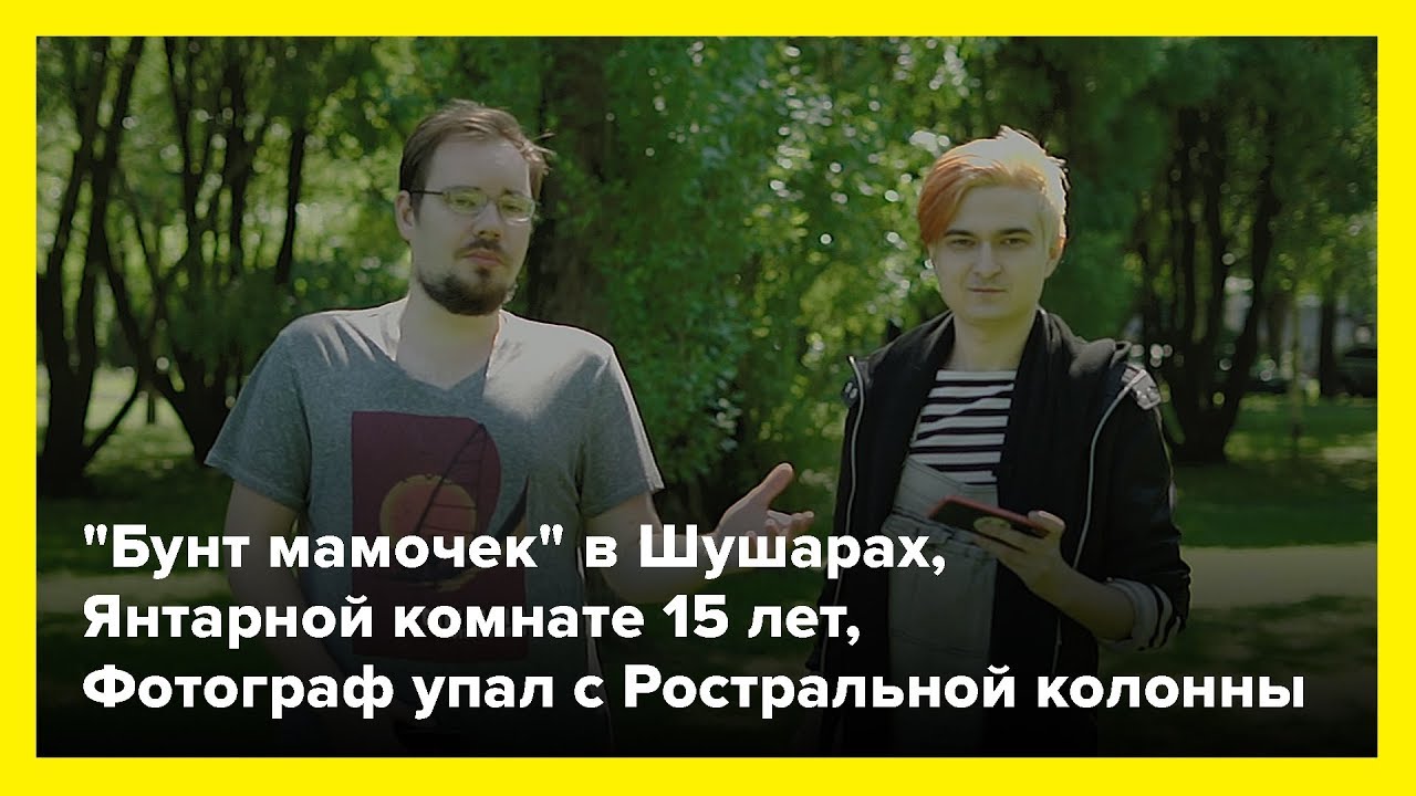 "Бунт мамочек" в Шушарах,  Янтарной комнате 15 лет,  Фотограф упал с Ростральной колонны