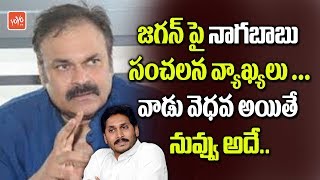 Naga Babu Shocking Comments On Ys Jagan Ap News Ysrcp Janasena Yoyo Tv Channel
