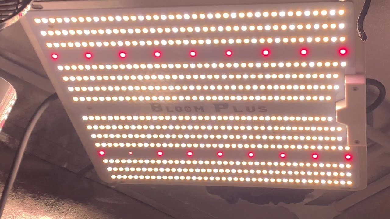 Another Update Over At The Indoor Garden Deltas Plants ummm, I Found Another Surprise #2