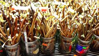 видео: Не зная этого, Вы не вырастите  качественные  саженцы! картинка: Не зная этого, Вы не вырастите  качественные  саженцы!