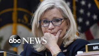 Famous Liz Cheney faces her political fate against Trump backed foe | NTL Profile