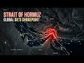 Logistics Crisis? Here's What You Pay #hormuz #shorts