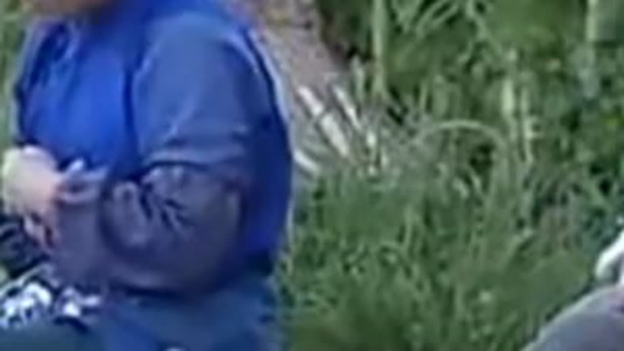 #云南山歌持续更新上热门 #我的乡村