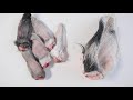 End of video