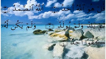 سورة الإخلاص - علي الحذيفي