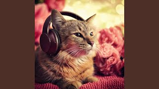 Harmonized Meow Motion