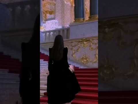 يلا نعيش في عيون الليل