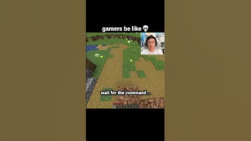 Minecraft Touch Grass Command Moment