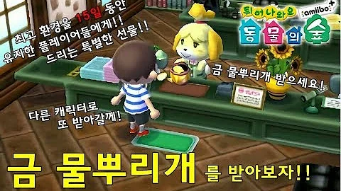 튀동숲 금도구