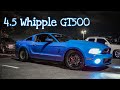 1000HP+ Whipple Shelby GT500 vs 850HP Camaro ZL1 vs Twin Turbo Mustang Coyote's