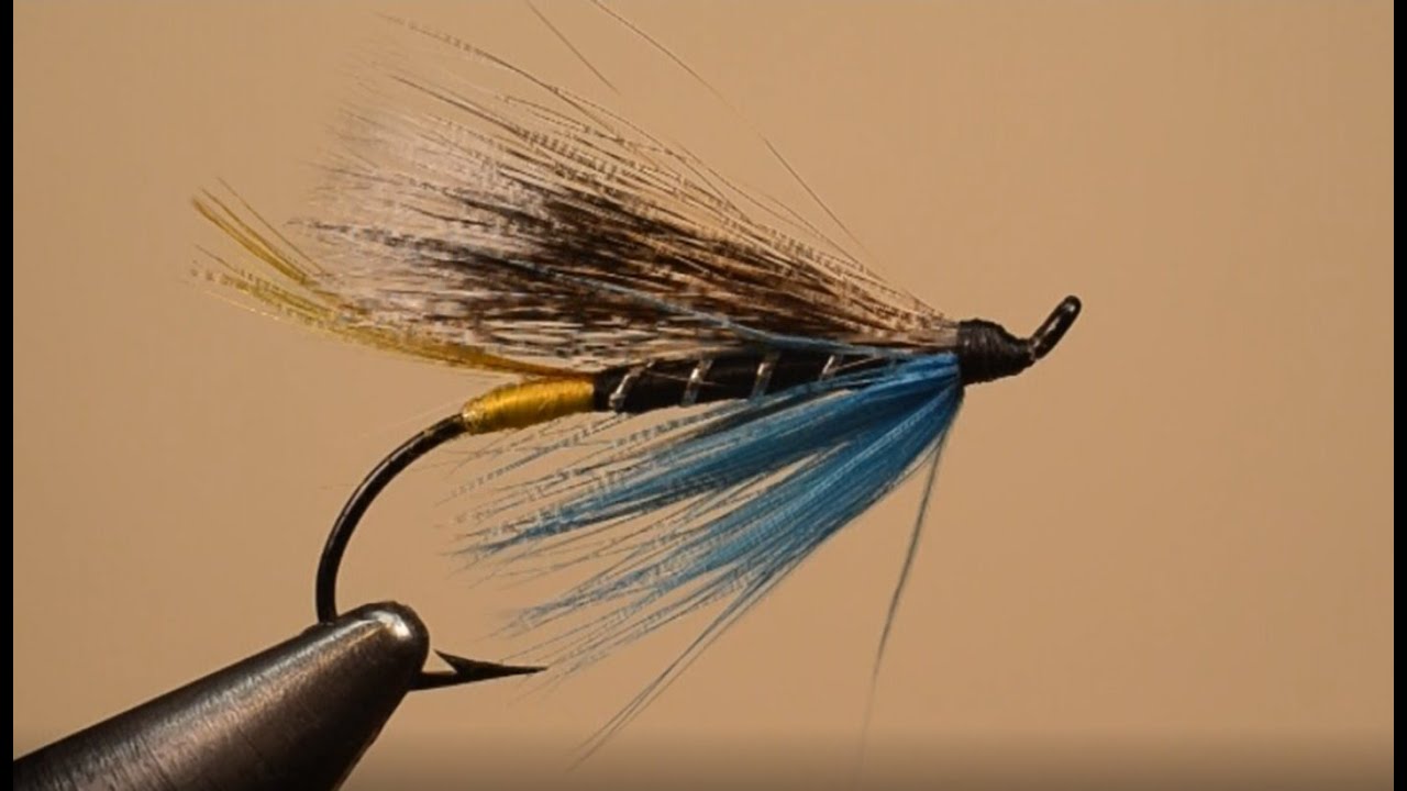 Fly Fishers International Silver Award Fly Tying: Hair Wing Blue Charm ...