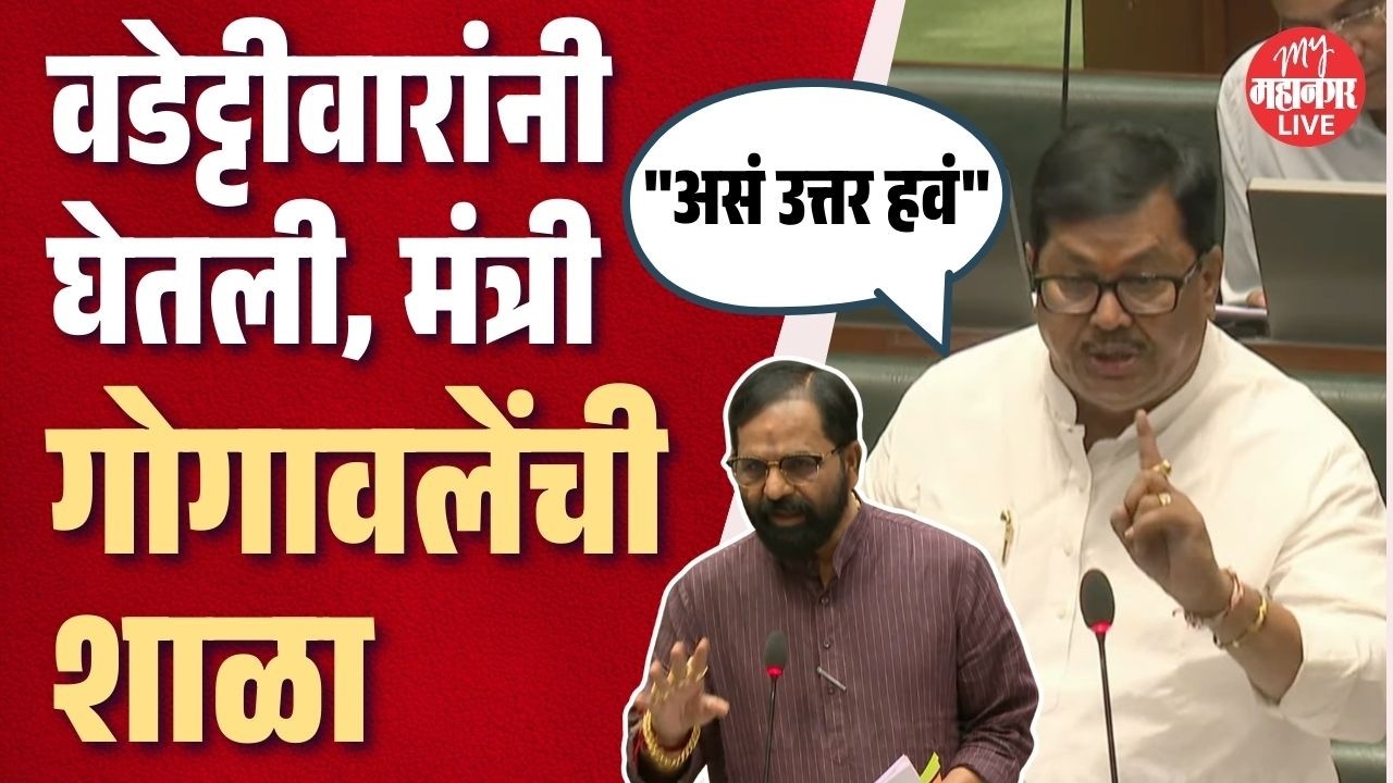 मंत्र्यांचं उत्तर कसे असावे, वडेट्टीवारांनी मंत्री गोगावलेंना शिकवले | Vijay Wadettiwar On Gogawale