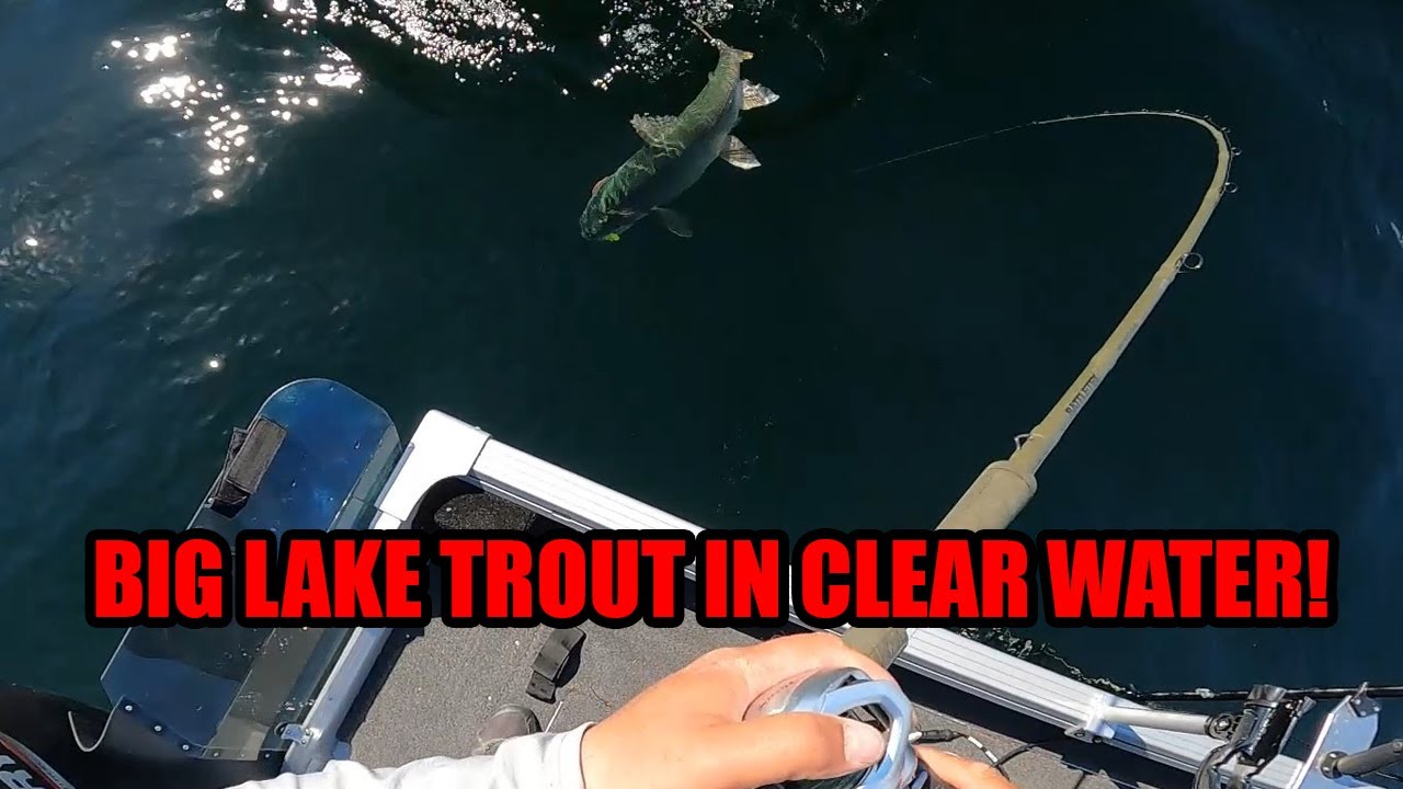 Giant Lake Trout | Cooking up a Trout!