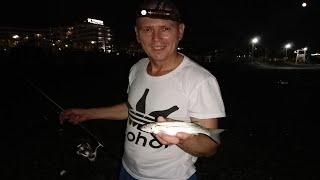 С Дмитрием на рыбалке  Спиннинг на черном море