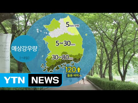 [날씨] 한풀 꺾인 폭염...남부 비, 중부 소나기 / YTN