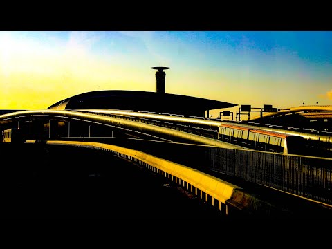 Video: Welke terminal is internationaal bij SFO?