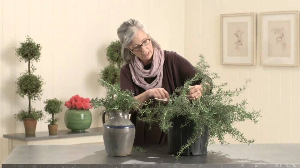 How To Arrange Flowers With Margot Shaw - YouTube