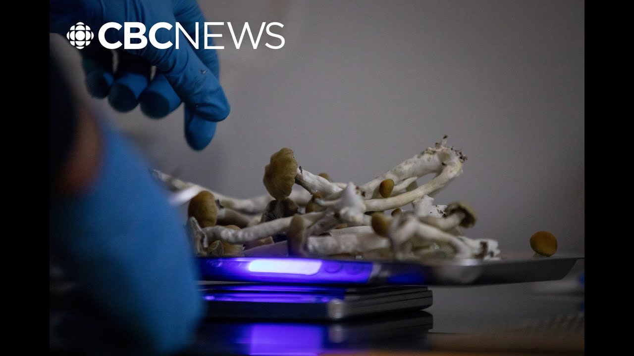 Magic mushrooms for mental health