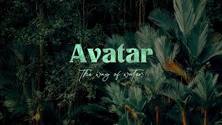 Avatar 2 trailer humming song | slowed and reverb | 1 hour loop | forest ambience