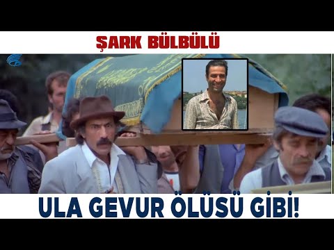 Şark Bülbülü Türk Filmi | Şaban, Ölü Takliti Yapıyor!