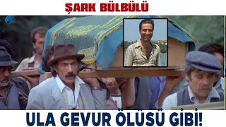 Şark Bülbülü Türk Filmi | Şaban, Ölü Takliti Yapıyor!