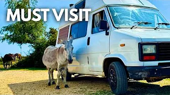 We Found Vanlife’s MOST UNIQUE Place in the UK, Living Dream / New Forest