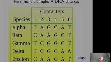 Building a phylogenetic tree