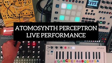 PERCEPTRON. Analog Semi Modular Synth by AtomoSynth FIRST TRY.