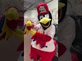 ❤️ Cardinals Players Help a Student’s Flat Stanley Dream Come True ⚾ #Shorts