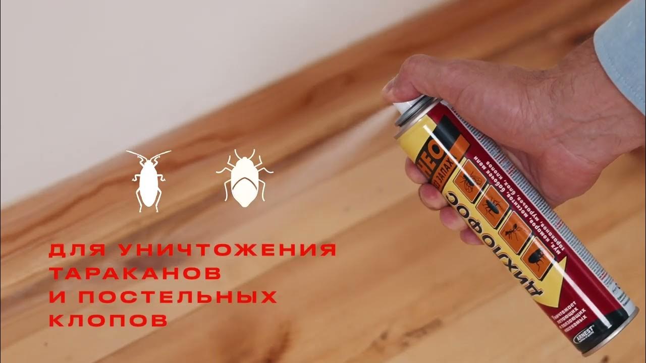 Дихлофос НЕО: обзор и инструкция по применению - YouTube
