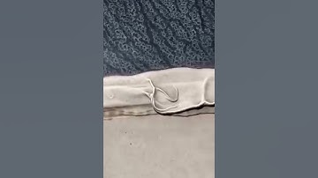 Grand Design RV Owners Roof Quality Control Sealant Issues