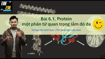 Tự học tin sinh học | Bài 6.1: Protein và amino acid | Tin sinh học cấu trúc | dự đoán protein