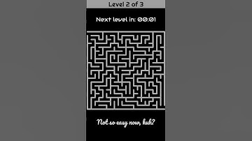 Maze Puzzle Challenge: Can You Solve All 3 Brain Games? 🧠✨