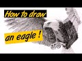 How to draw an eagle ! Full graphite pencil timelapse