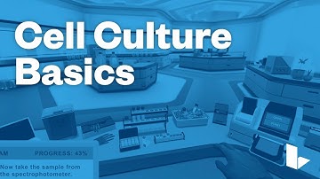 Learn Science Smarter – Cell Culture Basics – Labster