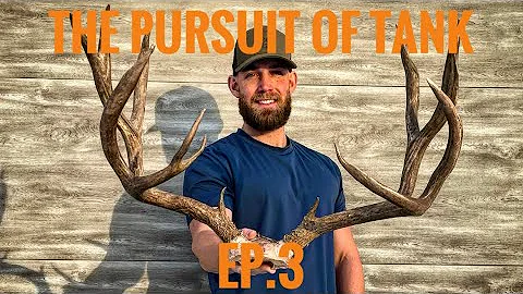 Mule Deer Hunting