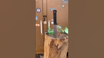 Loves me some cold steel knives #shorts #coldsteel #coldsteelknives #scarysharp #fixedblade