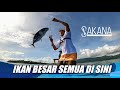 Semua pemancing pasti Ngiler liat spot di sini. Spot Ultralight tapi isinya ikan besar. 1/2 | #66