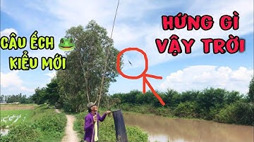 Thử nhấp ếch không cần lưỡi câu. Xem có  dính không nhe.