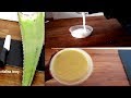 CREME A L’ALOE VERA FAIT MAISON/VITALINA IVORY