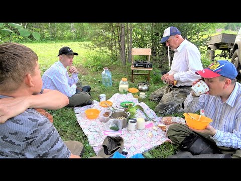 Наши славные Сибирские покосы. От оводов нет спасу, такого еще не было.