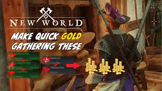 Gather These For QUICK Gold - New World Money Guide (1200+G Per Hour)
