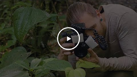 Geraint Radford - Olympus OM-D E-M1 Mark III (English)