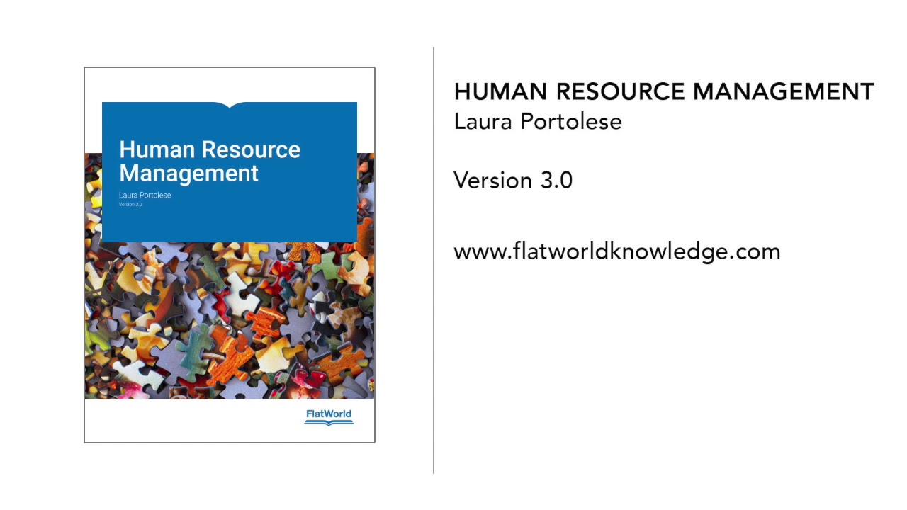 human resource management case study diversity