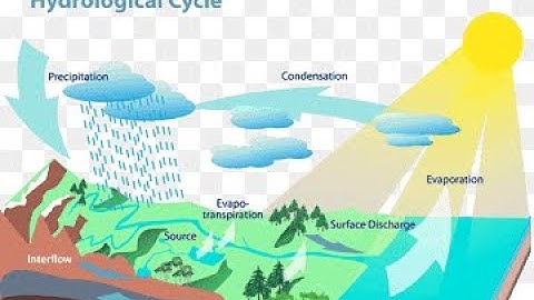 HYDROLOGY 2|  Flood Routing 1