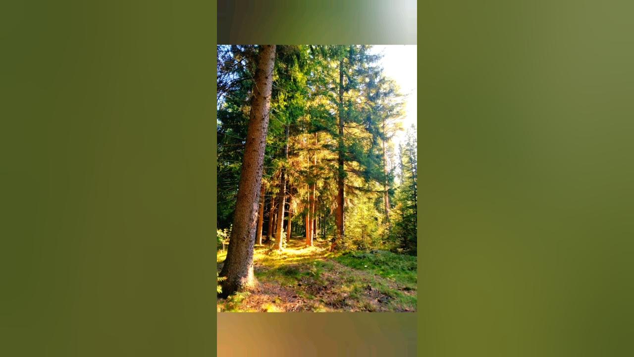 ПОХОДНЫЙ ТОПОРИК - YouTube