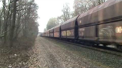 Coal drag Train in the forest,wood (DB Schenker train)