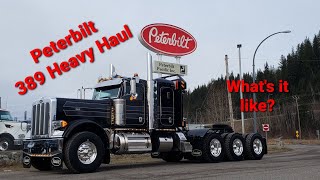 One of the nicest Tridrives I've ever built. 389 HEAVY HAUL 👊😎